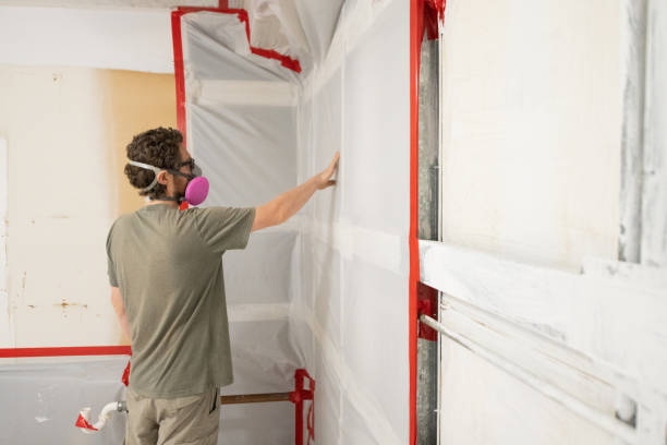 Best Mold Odor Removal Services  in Dent, OH