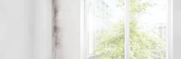 Best Indoor Air Quality Assessment  in Dent, OH